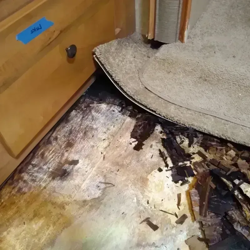 Wood Floor Water Damage in Cherokee County, GA